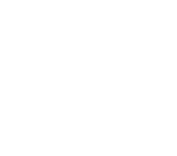 LogicalMind（ロジカルマインド）ロゴマーク